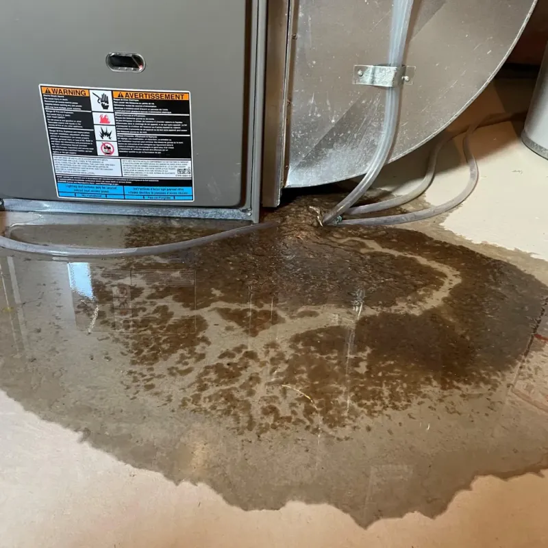 Appliance Leak Cleanup in Winneconne, WI